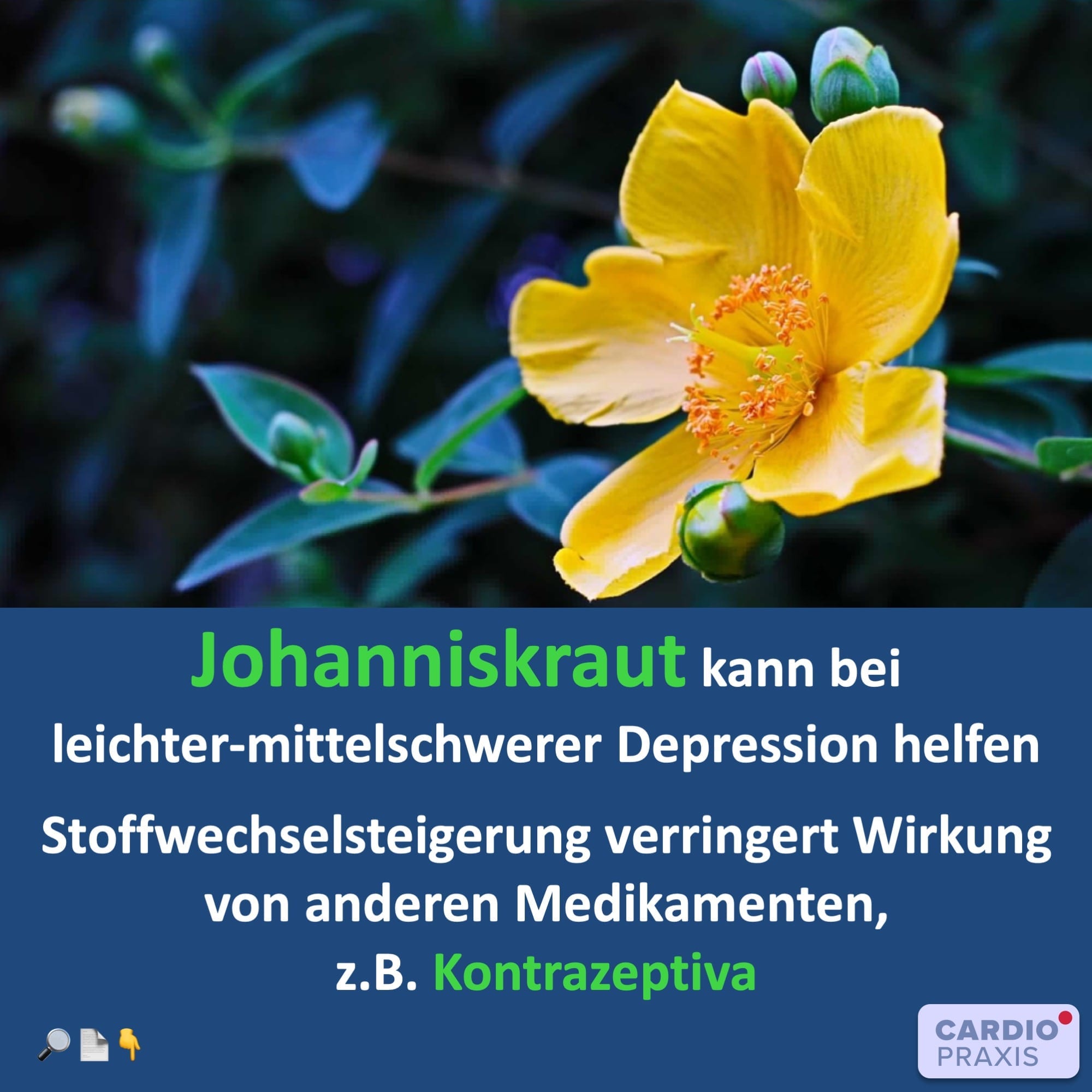 Haben Johanniskraut Tabletten Nebenwirkungen?