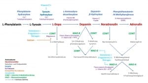 Neurotransmitter