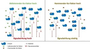 Neurotransmitter