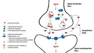 Neurotransmitter