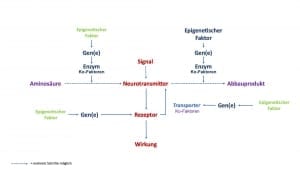 Neurotransmitter