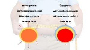 Übergewicht, Körpertemperatur - Ursache für Bluthochdruck