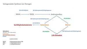 Übergewicht,Adipositas,Bluthochdruck,Körpertemperatur