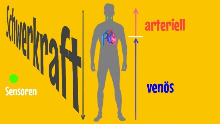 Blutdruck im Liegen und im Stehen messen - auch zuhause | | Cardiopraxis®