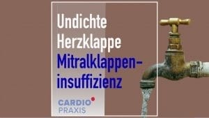 Herzklappenfehler