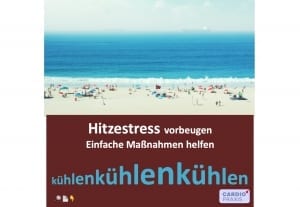 Hitzestress,Herz-Kreislauf-Erkrankungen,Bluthochdruck,Vorhofflimmern,Herzinfarkt,Hitzeerschöpfung,Hitzeschlag,Herzschutz,Hitzeprävention,Risikogruppen,Flüssigkeitshaushalt,Elektrolyte,Medikamentenanpassung,Verhaltenstipps,Abkühlung