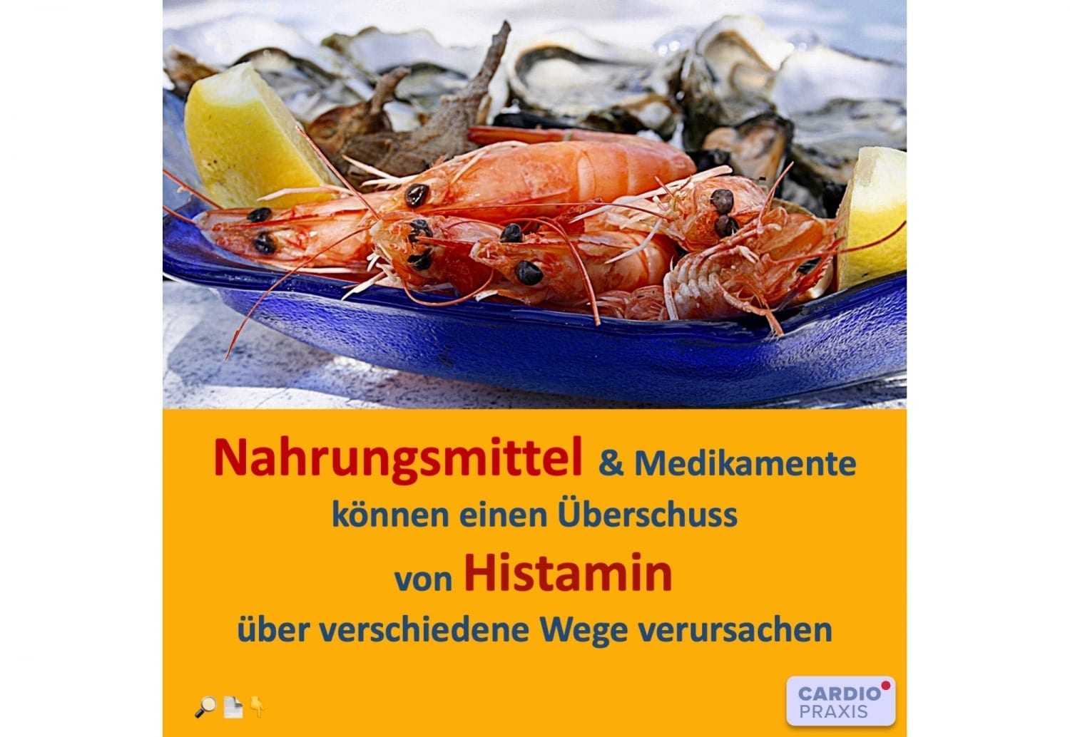 Histaminintoleranz Cardiopraxis®