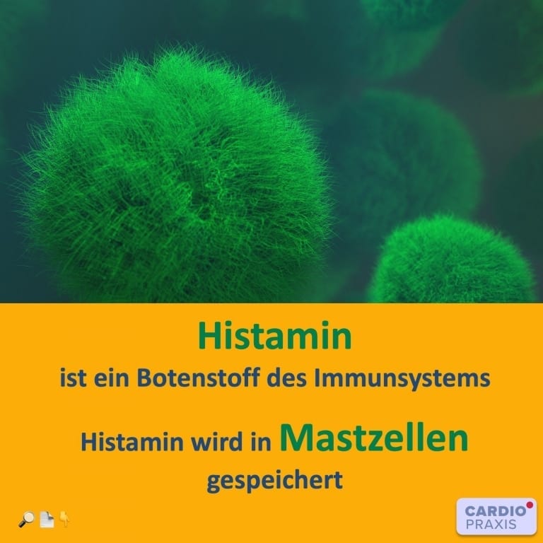 Histamin - Freisetzung, Funktion und Abbau im Körper | | Cardiopraxis®