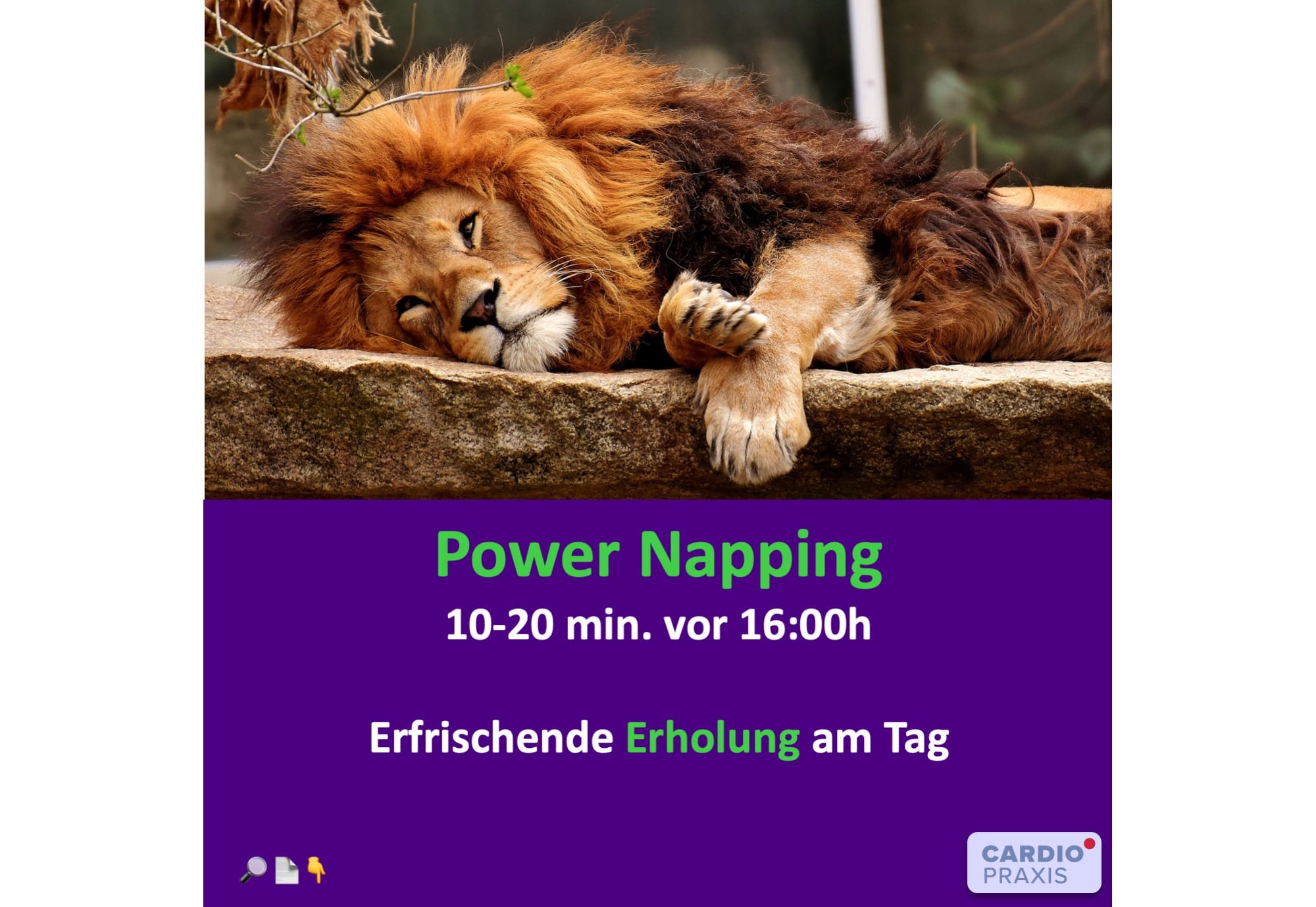 Power Napping,Power Nap,Kurzschlaf,Mittagsschlaf,Schlafhygiene