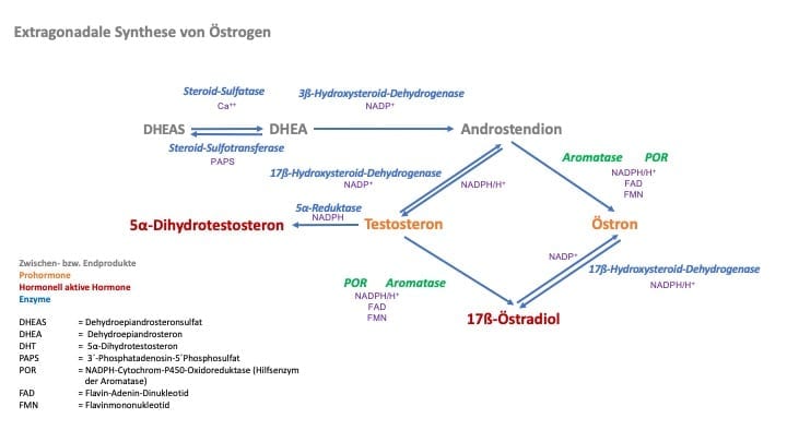 Die 5 Geheimnisse für ein effektives anabole steroide statistik