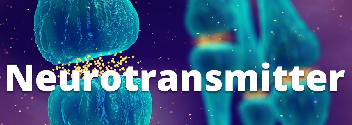 Selbsthilfekurs zum Thema Neurotransmitter: Neurotransmitter sind wichtige Boten in unserem Nervensystem. Wie sie die kardiologische Behandlung ergänzen und ihr schaden können erfahren Sie im Selbsthilfekurs Neurotransmiter der Cardiopraxis