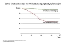 COVID-19 - Herz