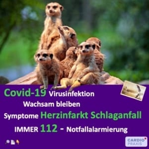 COVID-19 - Notfall,Covid-19 Notfallmedizin,Notarzt während Corona