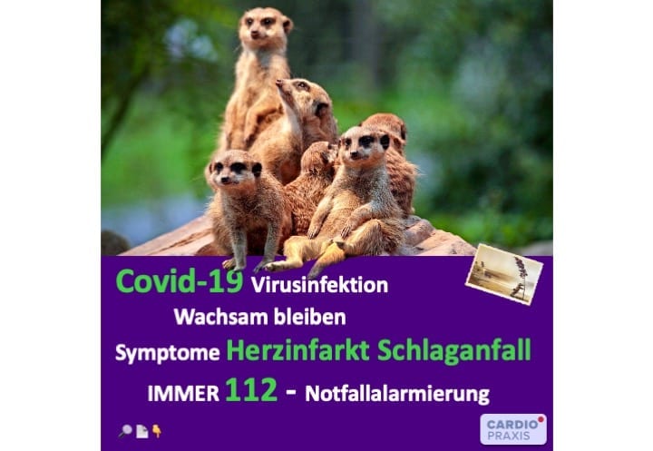 COVID-19 - Notfall,Covid-19 Notfallmedizin,Notarzt während Corona