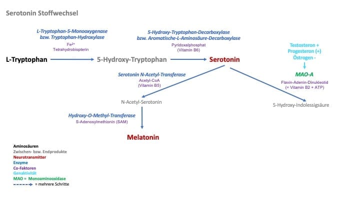 sertonin-vitamine.jpg