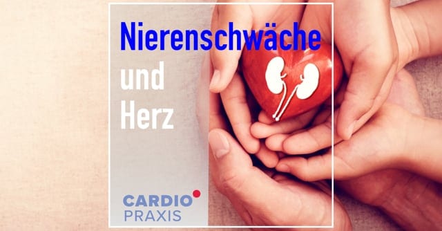 „Auf Herz und Nieren prüfen“ chronische Nierenerkrankung und Herz