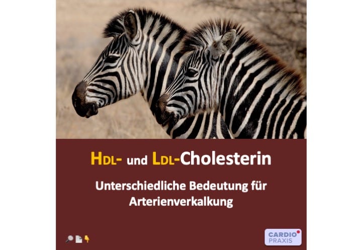 HDL-Cholesterin