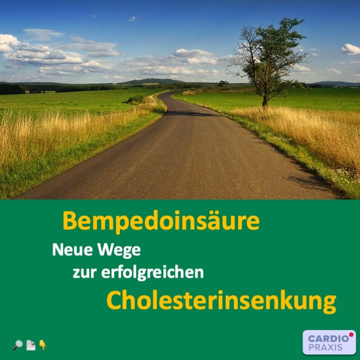 Bempedoinsäure Cholesterin