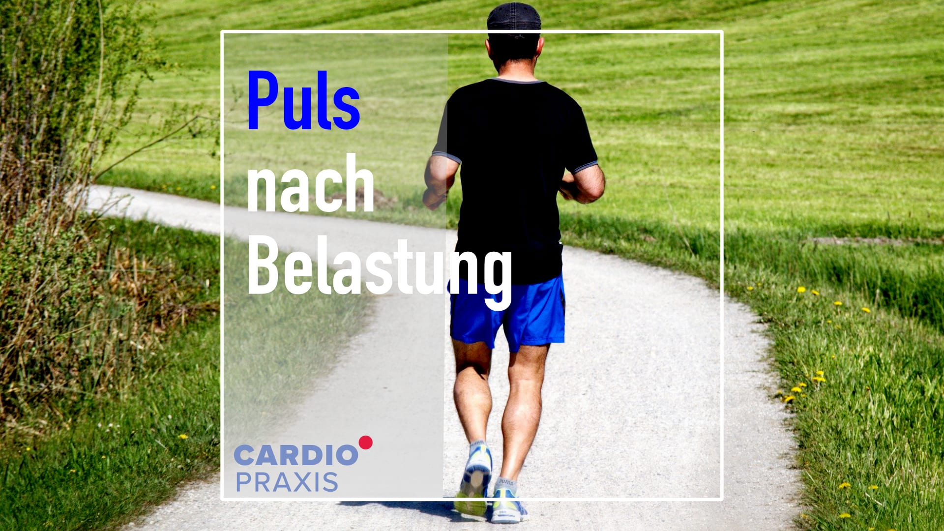 Puls nach Belastung