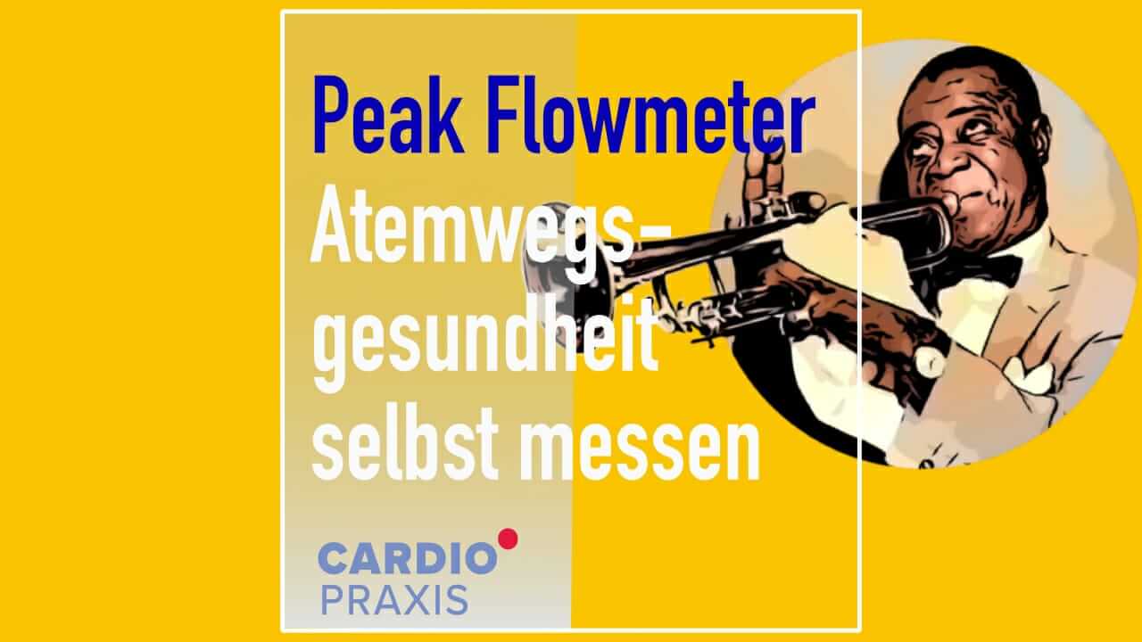 Lungengesundheit Mit Peak Flowmeter Selber Messen