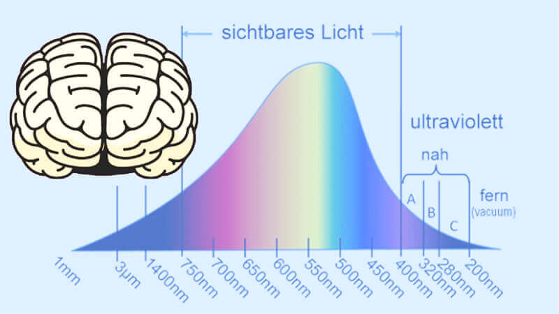 blaues licht wirkung gehirn