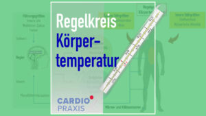 koerpertemperatur regelkreis mensch