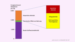 stoffwechsel aktivität Körpertemperatur