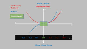 thermischer stress koerpertemperatur abbildung