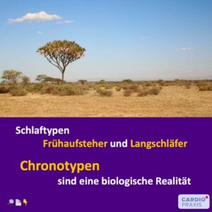 Schlaftypen: Frühaufsteher und Langschläfer - Chronotypen sind eine biologische Realität