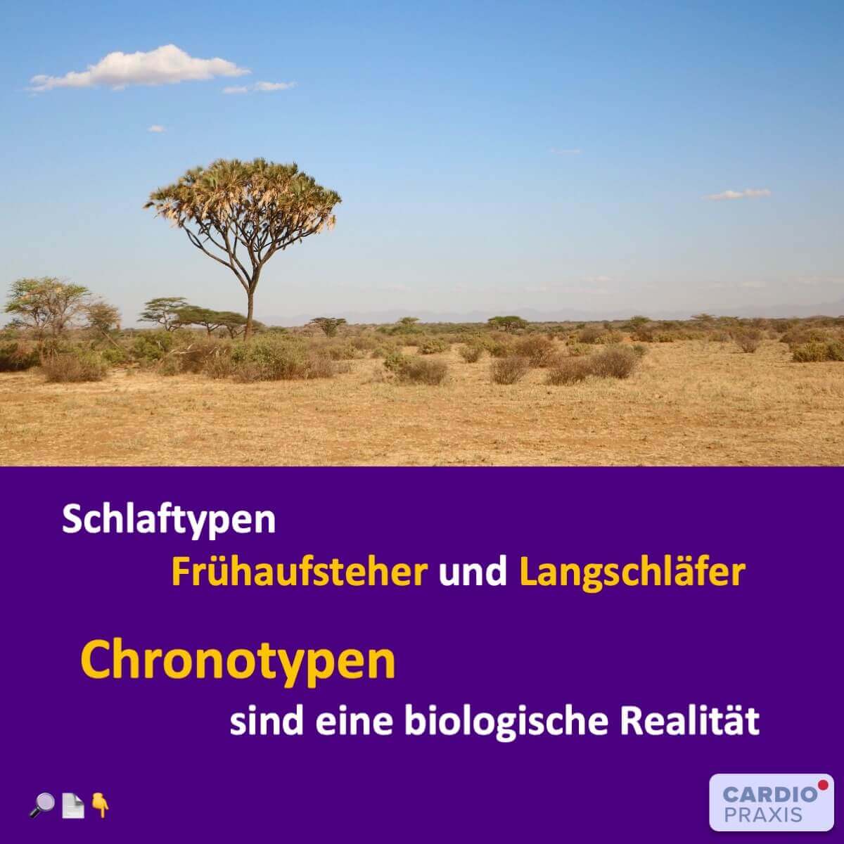 Schlaftypen: Frühaufsteher und Langschläfer - Chronotypen sind eine biologische Realität