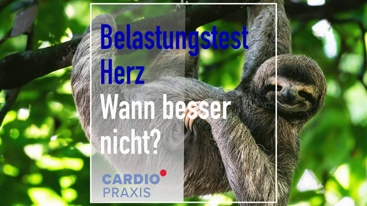 wann sollte man kein belastungs test des herzens machen