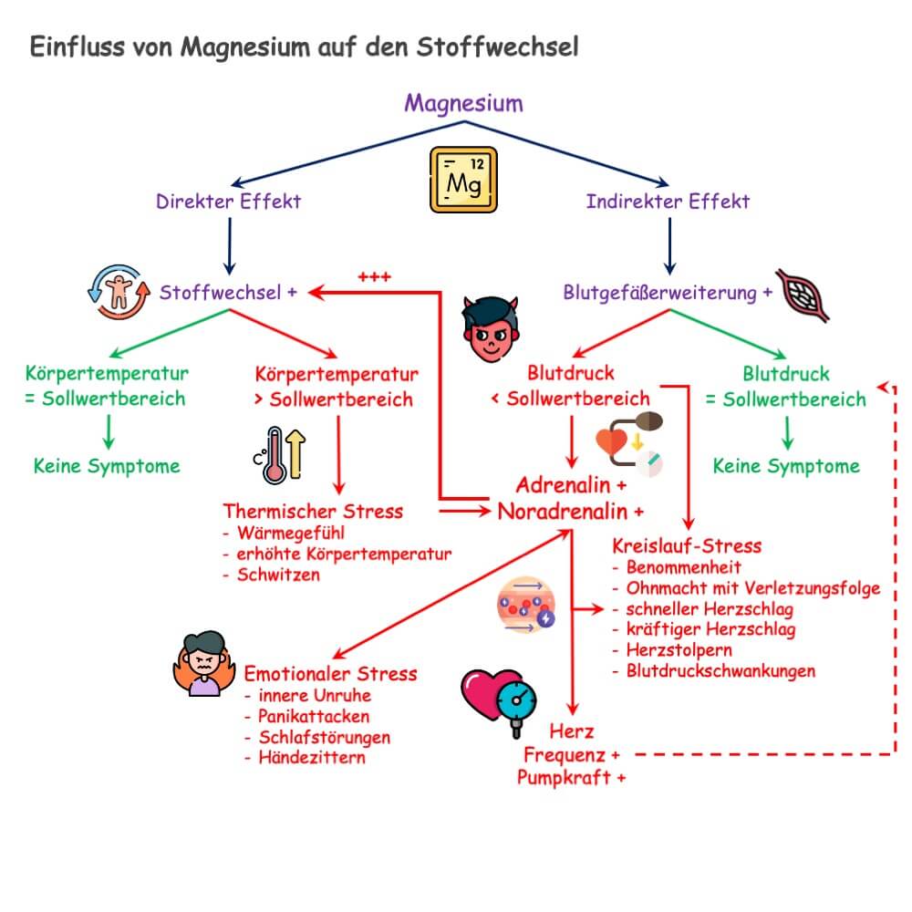 Welche Nachteile hat Magnesium?
