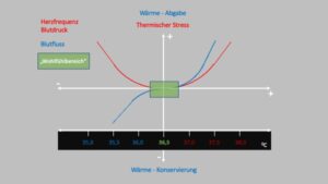 Erklärung des Stress-Hitze-Kälte-Kreislaufs