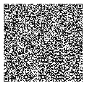 vcard qrcode