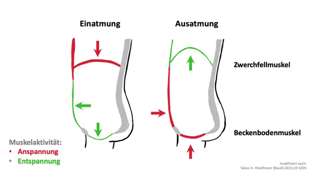 LUNGE testet: Mit Lauflicht sicher im Dunkeln Laufen – Lunge Der