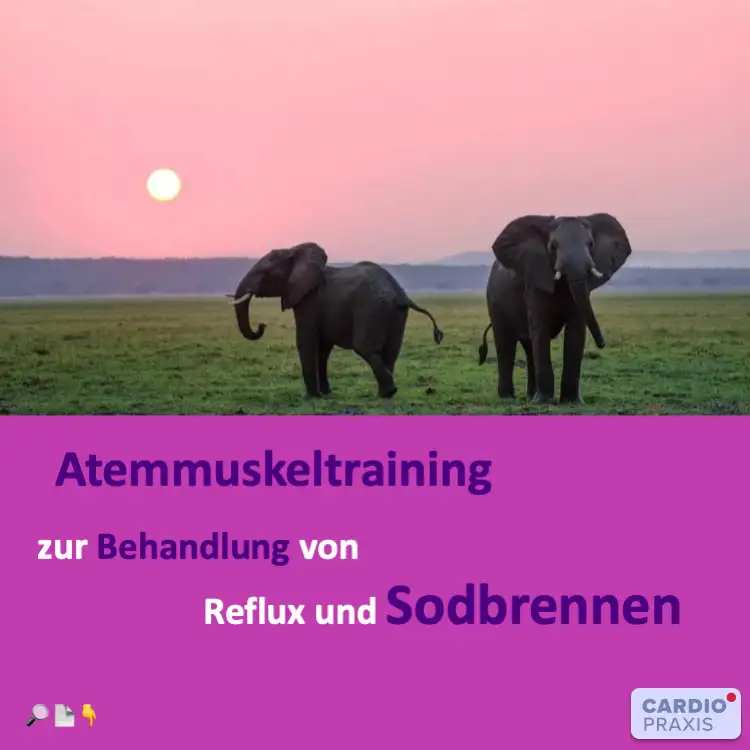 atemmuskeltraining gegen sodbrennen gerd