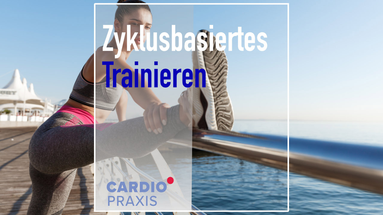 zyklusbasiertes training frauen