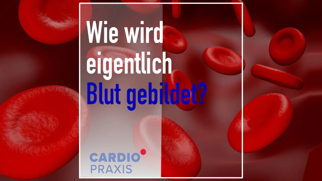 wie wird blut gebildet video arzt