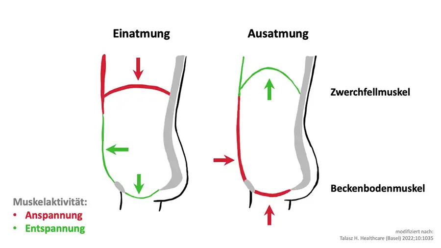 Unterlage unters Becken Ja/Nein ? - Aufbau - Nanoriffe