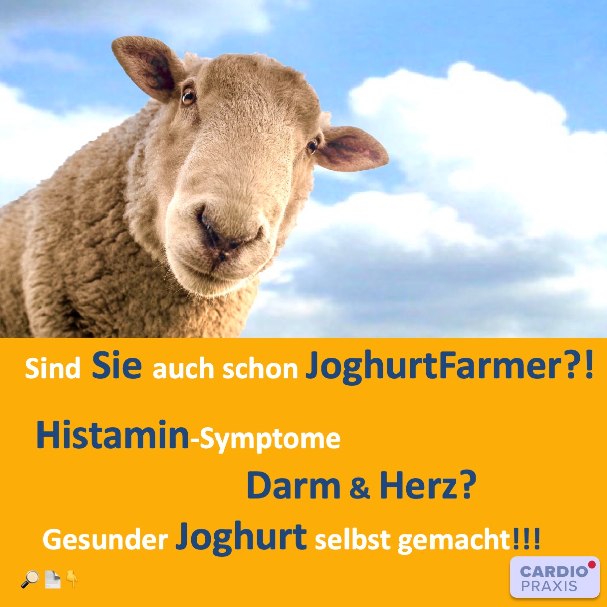 histamin joghurt intoleranz. herz kreislauf