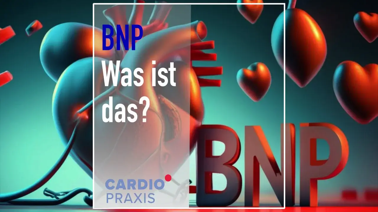 bnp was ist das