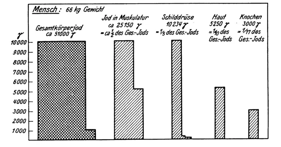 Jodmangel,Schilddrüse,Jodversorgung,Jodmangelstruma,Jodmangelsymptome,Jodreiche Ernährung,Jodsalz,Schilddrüsenunterfunktion,Jodmangel in der Schwangerschaft,Jodmangel bei Kindern,Mangel,Deutschland,Jod,Urin