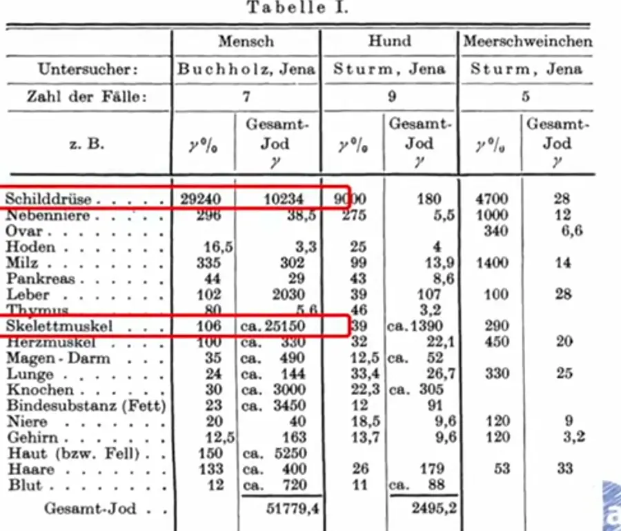 Jodmangel,Schilddrüse,Jodversorgung,Jodmangelstruma,Jodmangelsymptome,Jodreiche Ernährung,Jodsalz,Schilddrüsenunterfunktion,Jodmangel in der Schwangerschaft,Jodmangel bei Kindern,Mangel,Deutschland,Jod,Urin