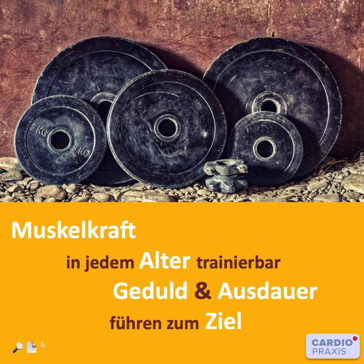 muskelaufbau training im alter ab 35