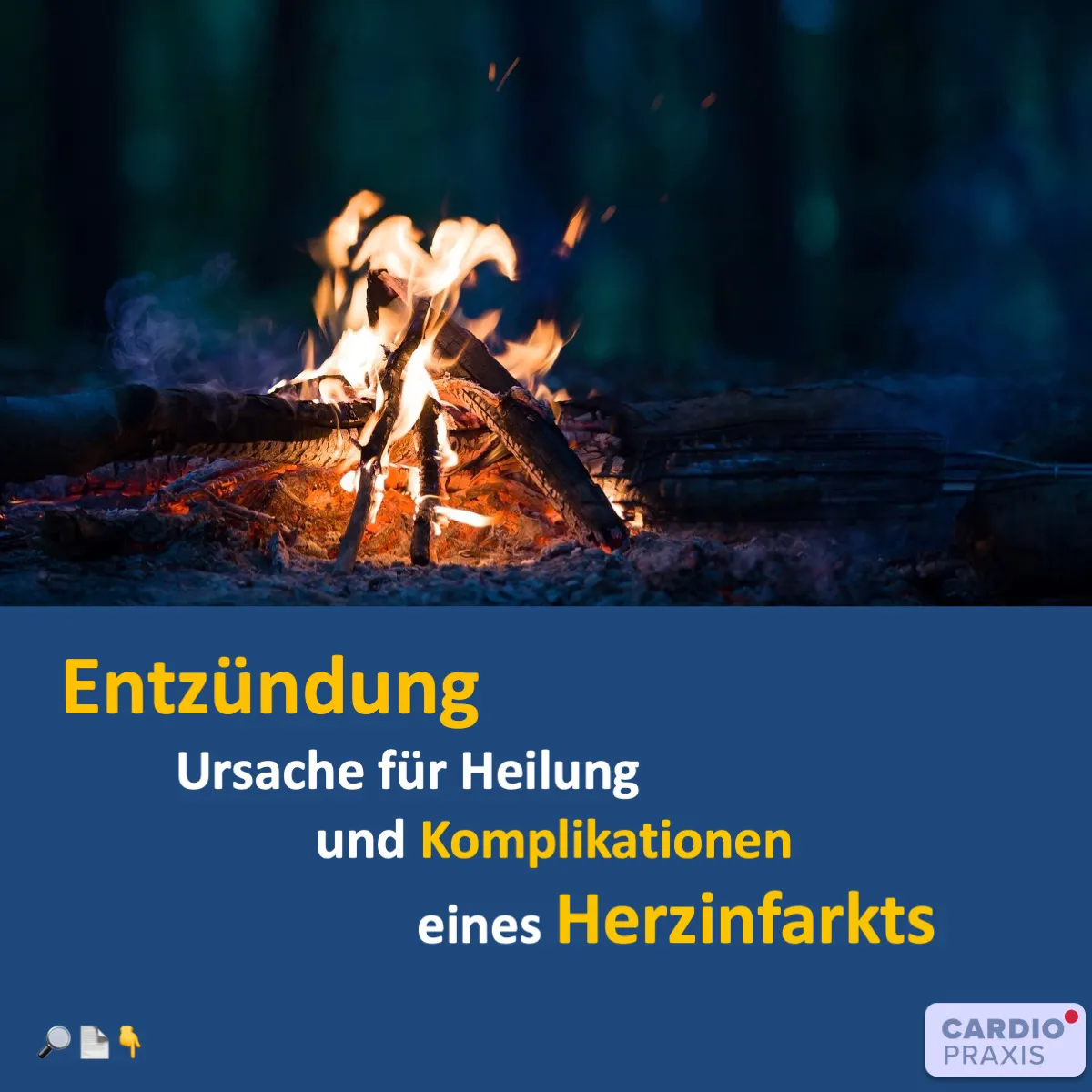 Herzinfarkt,Myokardinfarkt,Entzündung,Komplikationen,Herzwandruptur,Thrombusbildung,Antikoagulation,Aneurysma,Remodelling,Herzinsuffizienz