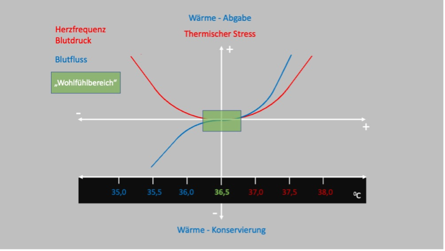 Diagramm zu Wärmeabgabe und thermischem Stress